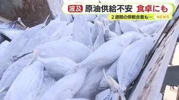 原油の供給不安でカツオに危機　仕入れ価格が1kgあたり200円～500円ほど値上がり　食卓にも影響