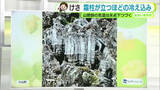 「寒い朝…霜柱も　17日はにわか雨も【静岡・ただいま天気　12/16】」の画像1