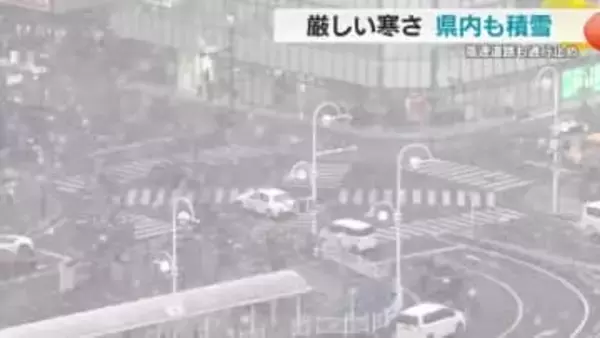 静岡県内も一面の銀世界　慣れない雪道にソロソロ運転…　厳しい寒さで東部や伊豆を中心に積雪　“大動脈”も通行止め