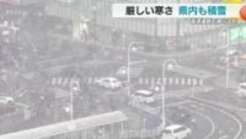 静岡県内も一面の銀世界　慣れない雪道にソロソロ運転…　厳しい寒さで東部や伊豆を中心に積雪　“大動脈”も通行止め