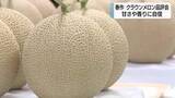 「高品質なクラウンメロン並ぶ　天候良く甘さや香りに自信　日本平ホテルで特別に提供へ」の画像1