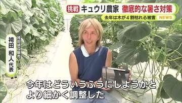 キュウリ農家　徹底的な暑さ対策　去年は木が4割枯れる被害　今夏も40℃超の酷暑　生産者「データ元に水や肥料を調整」　ていねいな作業が実りを支える