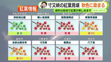 週末は天気の大きな崩れなし「紅葉狩りOK」静岡県内名所で見頃に　【静岡・ただいま天気　11/14】