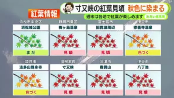 週末は天気の大きな崩れなし「紅葉狩りOK」静岡県内名所で見頃に　【静岡・ただいま天気　11/14】