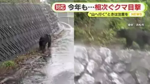 「イノシシじゃない…クマだよ！」　今年も相次ぐ目撃情報　「もう少しすると子グマが親離れする時期」　撃退スプレーは入荷待ち　低い山でも注意を