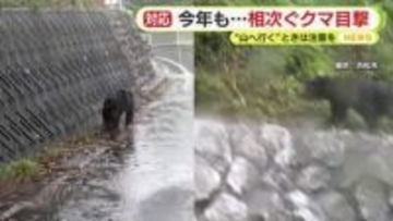 「イノシシじゃない…クマだよ！」　今年も相次ぐ目撃情報　「もう少しすると子グマが親離れする時期」　撃退スプレーは入荷待ち　低い山でも注意を