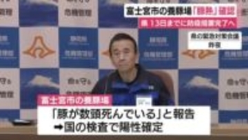 富士宮市の養豚場で豚熱の発生を確認　13日までに防疫措置完了へ