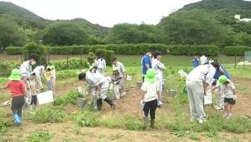 「おっきーい！69個とれた！」子供たち大興奮　高校生が育てたジャガイモを収穫　静岡・南伊豆町