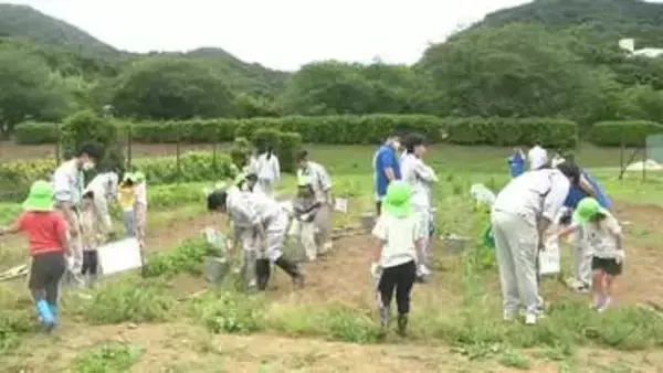 「おっきーい！69個とれた！」子供たち大興奮　高校生が育てたジャガイモを収穫　静岡・南伊豆町