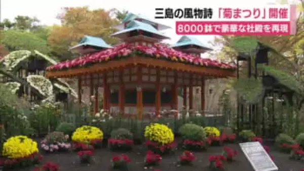 創建130周年を迎えた平安神宮をテーマに　三島の風物詩「菊まつり」