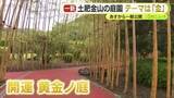 「土肥金山に“金”テーマの庭園　その名も「開運黄金ノ庭」　世界で活躍するプラントハンター・西畠清順さんがプロデュース　29日から一般公開」の画像1