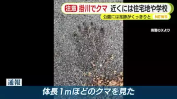 公園にくっきりと残されたクマの足跡　近くには住宅地や学校　西に向かって横断