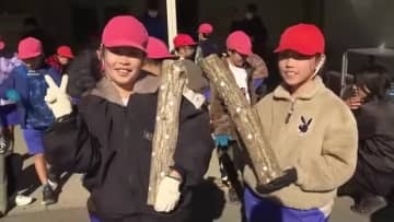 小学生がシイタケの植菌を体験　地元の特産品に理解を