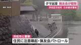 「浜松市でクマ出没　猟友会が駆除　他の個体出没の可能性も　市「引き続きパトロール」」の画像1