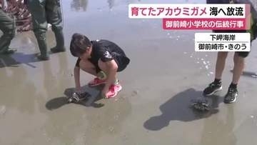 小学生が育てたアカウミガメ海へ放流　45年以上続く小学校の伝統　静岡・御前崎市