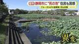 「「生き物がいなくなり“死の池”のよう」 池に外来種が大量繁殖「釣ってもほぼ100％外来種」フナ・コイ・エビも姿を消す　駆除のための釣りは“入れ食い状態”　「回収いけす」登場で駆除加速」の画像1