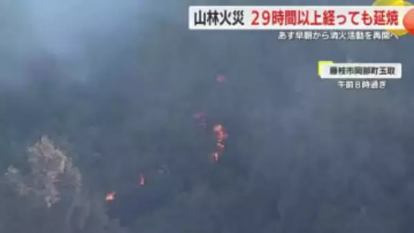 発生から29時間以上が経過も鎮火せず　焼損面積は少なくとも3万5000平方メートル以上　19日朝から消火活動を再開予定