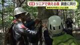 「リニア工事で“消える巨木の森”　東京ドーム3杯分の土砂で埋め立てられる森　静岡市が市民とともにその姿を記録　「自分たちの手で新たな森を」」の画像1