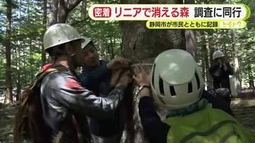 リニア工事で“消える巨木の森”　東京ドーム3杯分の土砂で埋め立てられる森　静岡市が市民とともにその姿を記録　「自分たちの手で新たな森を」