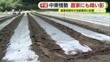 「中東情勢は農家にも暗い影　農業用資材や包装資材に影響　米袋が…マルチシートが…　品薄に加え仕入れ価格で数十パーセントの値上がりは当たり前」の画像1
