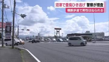 逃走したのは白っぽい軽自動車か　沼津で重傷ひき逃げ事件　警察が捜査　横断歩道で男性はねられる