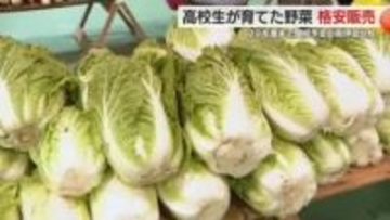 閉校予定の下田高校南伊豆分校　高校生が育てたハクサイ・ダイコン格安販売　高校生「たくさん買ってくれるとやっぱりうれしい」