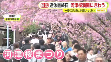 3連休最終日　ぽかぽか陽気で行楽日和　静岡市駿河区は24.6℃に　各地のイベント会場にぎわう