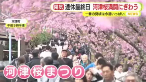 3連休最終日　ぽかぽか陽気で行楽日和　静岡市駿河区は24.6℃に　各地のイベント会場にぎわう