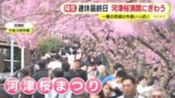 3連休最終日　ぽかぽか陽気で行楽日和　静岡市駿河区は24.6℃に　各地のイベント会場にぎわう