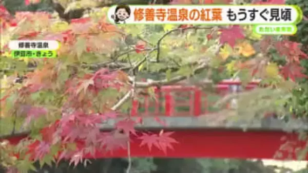 紅葉狩り日和続く　修善寺温泉はまもなく見頃　水～木はいよいよ冬の寒さに　【静岡・ただいま天気　11/17】