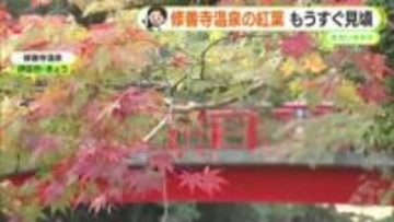 紅葉狩り日和続く　修善寺温泉はまもなく見頃　水～木はいよいよ冬の寒さに　【静岡・ただいま天気　11/17】