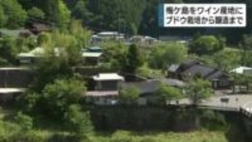 人口減少深刻…「梅ケ島」をワインの産地に　静岡市　新年度当初予算案にブドウの試験栽培費用など計上へ