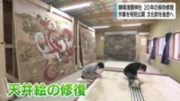 20年に及ぶ保存修理事業　静岡浅間神社が工事の様子を特別公開　来場者が熱心に見学