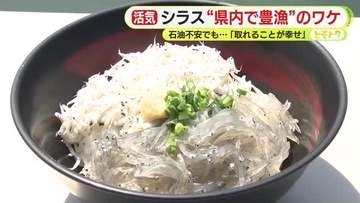 「制限しないといけないくらい活気づいてる」 近年不漁続きだったシラス漁が突然の“豊漁”に　背景にはやはり「あの現象」の終了が　石油不安はあっても噛み締める豊漁