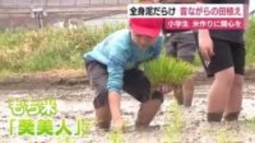 全員泥だらけ！小学生が昔ながらの田植えに挑戦　米作りに関心を