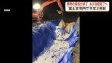 静岡県内で今年2例目の豚熱 殺処分終了であすにも防疫措置完了へ