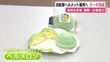 「自転車のヘルメット着用率向上へ　ヘルメット型のケーキ「ヘルメロン」完成　高校生が考案　文化祭で販売」の画像1
