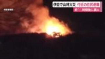 約11時間後に鎮火…伊豆で山林火災　延焼した建物が全焼し付近の住民が一時避難