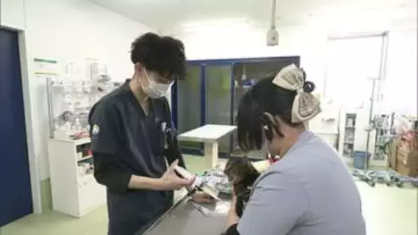 動物病院の“倒産ゼロ時代”は終焉へ　淘汰の時代を生き抜くカギはどこに？　ペットが長寿化する中で高まる要求水準　飼い主の獲得競争が激化　さらに高度な医療機器の導入に伴う負担の増加も