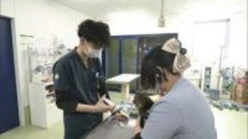 動物病院の“倒産ゼロ時代”は終焉へ　淘汰の時代を生き抜くカギはどこに？　ペットが長寿化する中で高まる要求水準　飼い主の獲得競争が激化　さらに高度な医療機器の導入に伴う負担の増加も