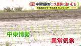 「田植えシーズン到来も中東情勢が追い打ち　「おいしい米を作るとなるとやめることができないことがある」　物価高の中で“令和のオイルショック”」の画像1