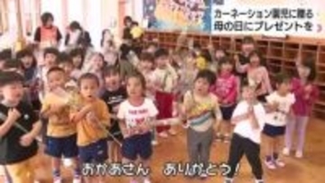 生産者がカーネーションを園児に贈呈「ありがとう」母の日プレゼント用に