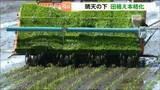 「「おいしいコメを届けたい」5月に入り田植え本格化！燃料費高騰などを心配する声も… 宮城・大崎市」の画像1