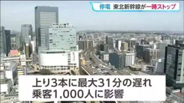 【9日朝発生・運転再開済み】東北新幹線と山形新幹線が停電の影響で遅れ　原因はカラスの感電