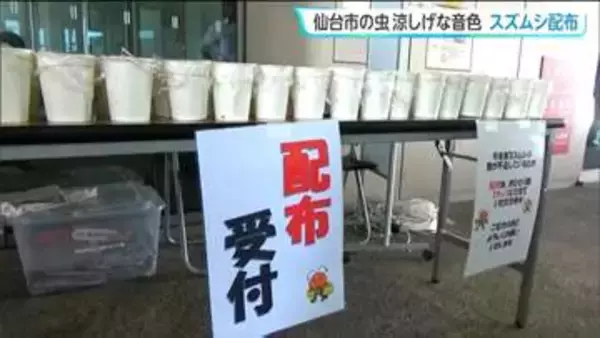 ひと足早い秋の気配…伊達家ゆかりの「仙台市の虫」将軍献上の歴史をもつ涼やかな音色