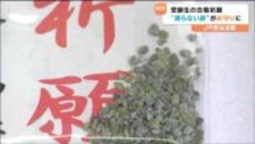 「滑らない砂」で合格祈願！受験生の合格願う 駅員手作りの "お守り" とは？宮城・気仙沼駅で配布