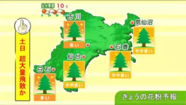 【6日宮城の天気】日中は穏やかも夜から雨　“折りたたみ傘”あると安心　週末は強風と花粉の大量飛散に注意　tbc気象台