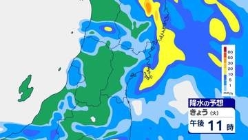 28日夜の宮城県内は非常に激しい雷雨のおそれ　29日明け方にかけて大雨による土砂災害に厳重警戒　低地の浸水や河川の増水・氾濫にも警戒を【雨雲シミュレーション28日午後～29日朝】