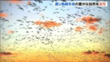 「伊豆沼・内沼フォトコンテスト」 豊かな自然の風景写真 約100点展示　宮城・栗原市