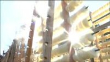 冬の寒さが生む特産品 水分が抜けて旨味凝縮「へそ大根」づくり来年2月上旬まで続く　宮城・丸森町